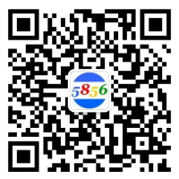 顺邦物流微信客服